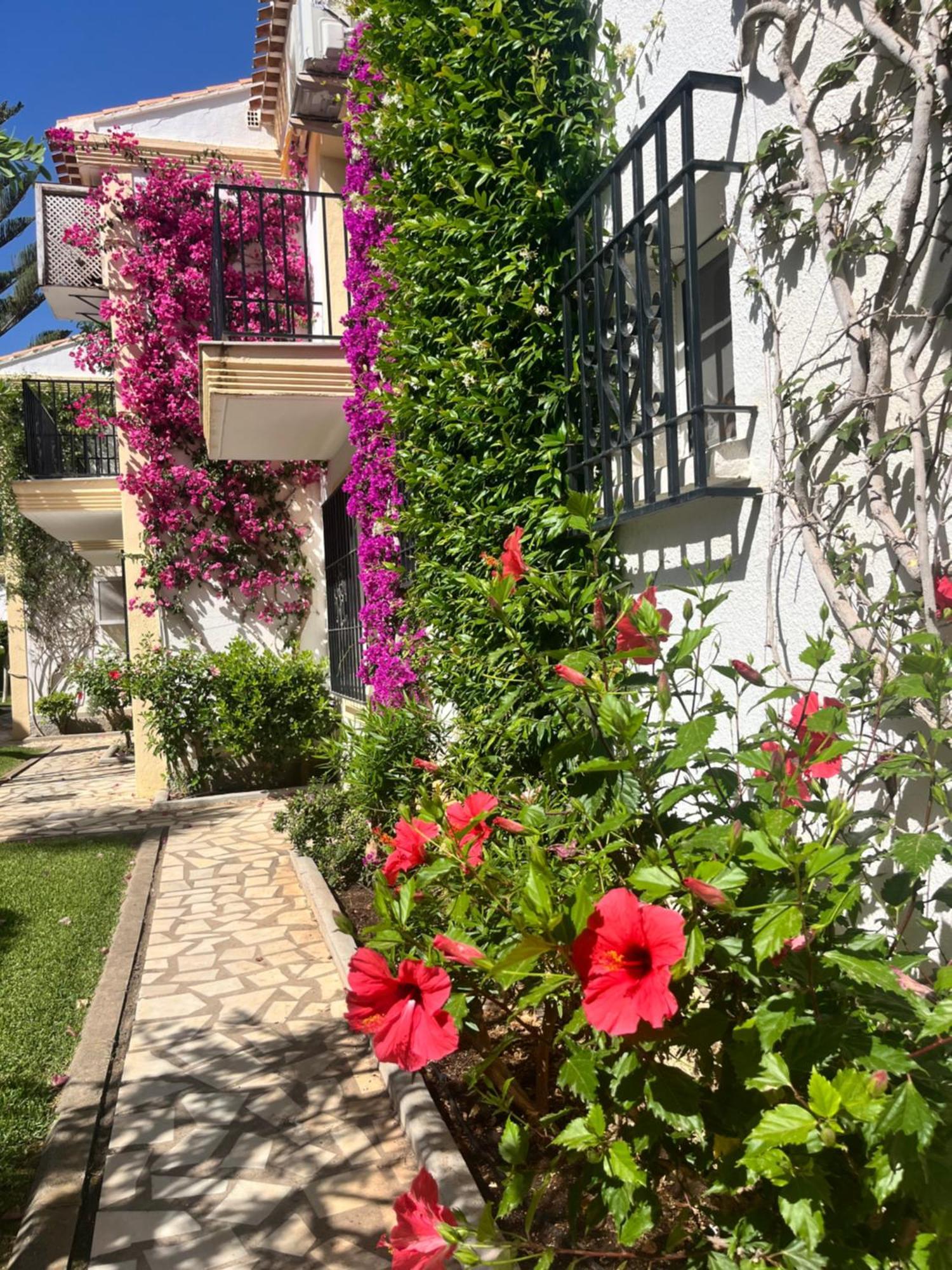 Apartamento Sol Y Mar Playas de Vera Luaran gambar